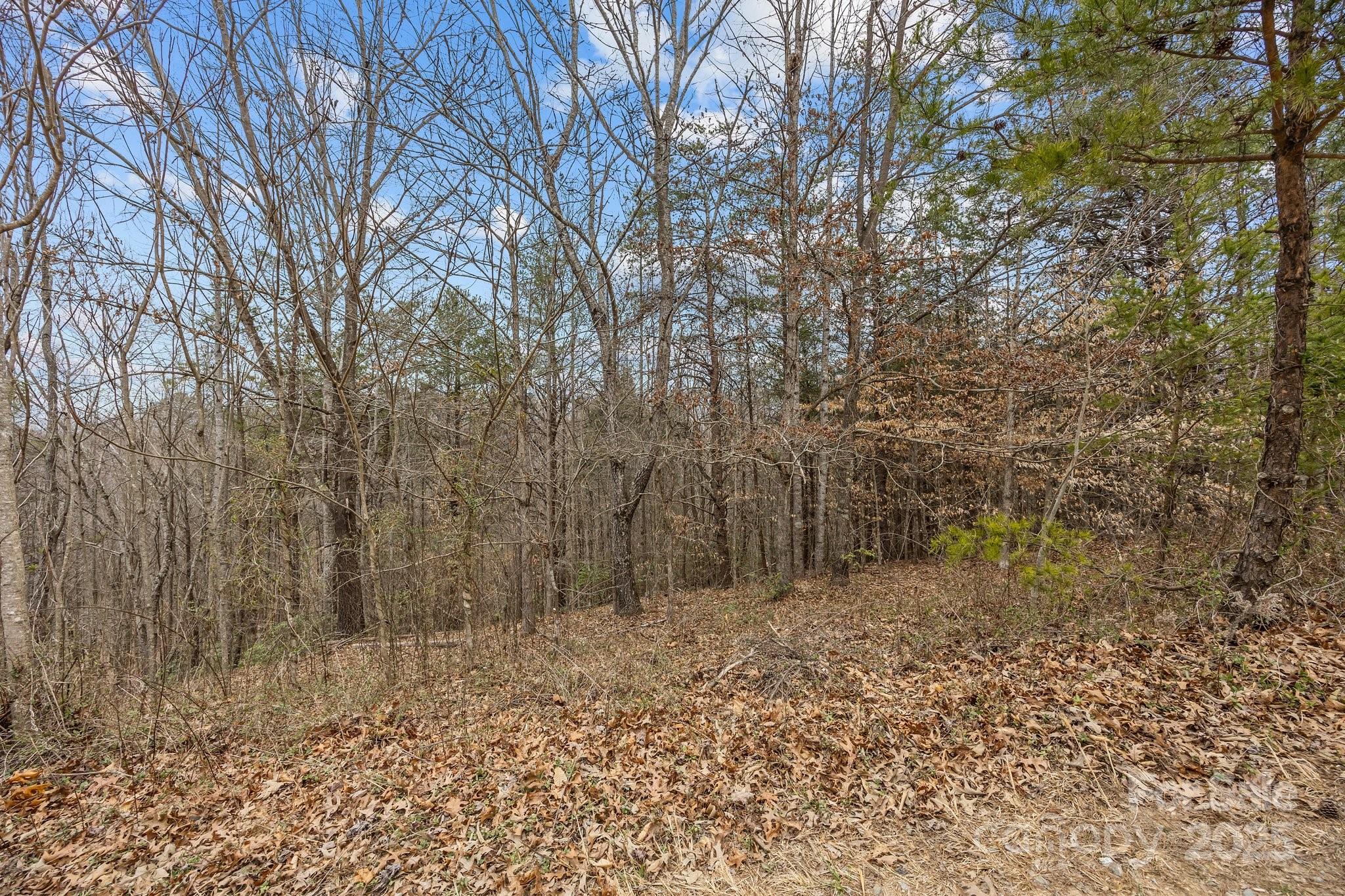 Property image 4 of Lot 104 Glenhaven Drive in Glenhaven, Marion, NC 28752