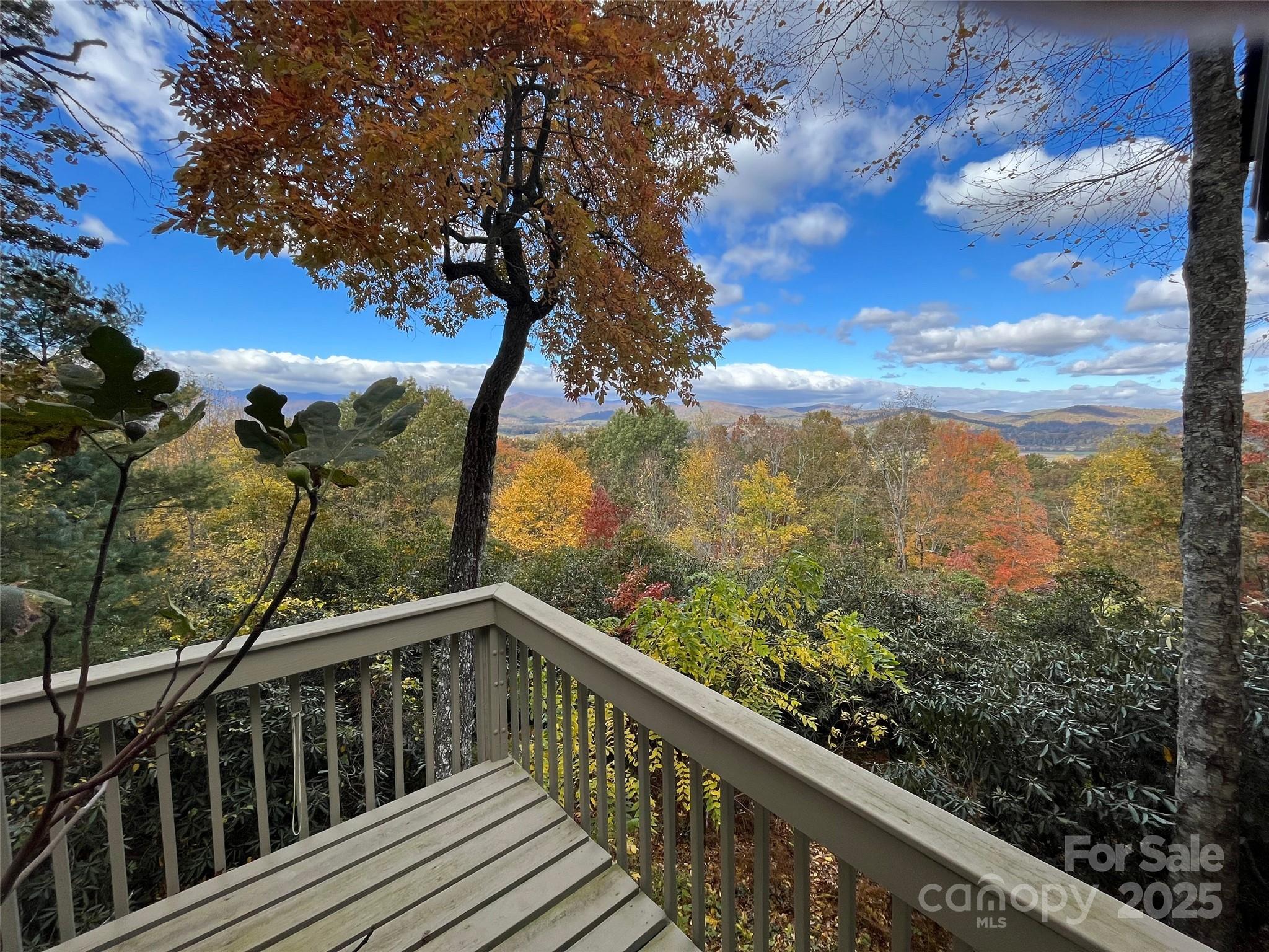 Property image 4 of 573 Valeria Lane in Thomas Woods, Pisgah Forest, NC 28768