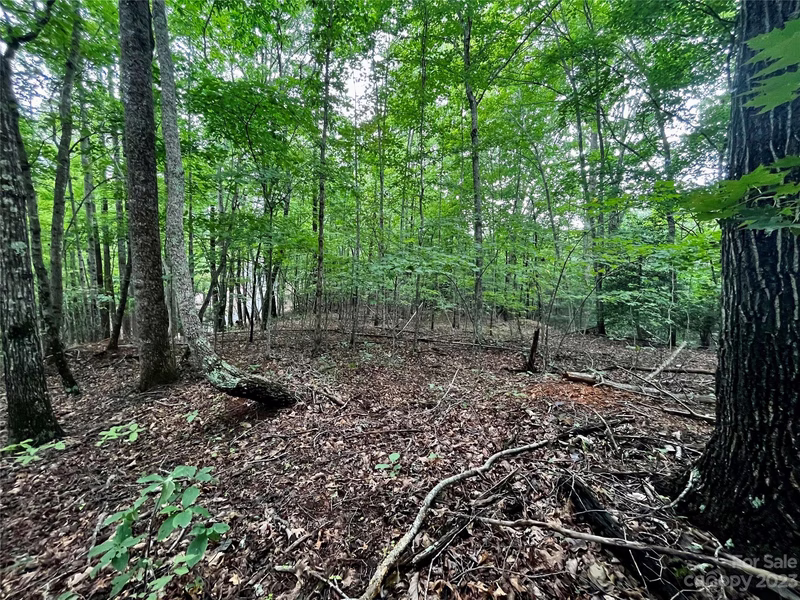Property image 4 at Lot 41 Haven Ridge Lane, Marion, NC 28752