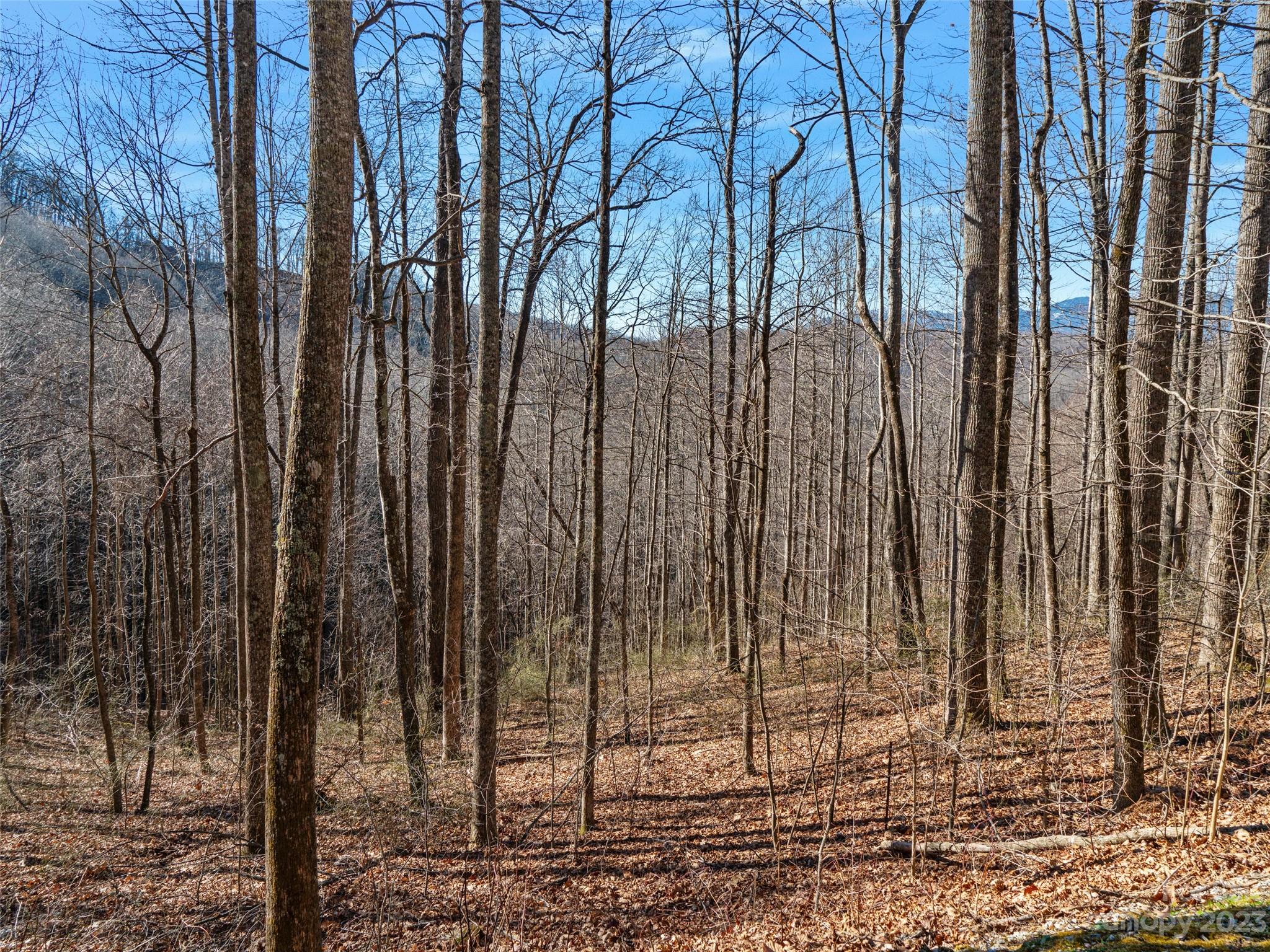 Property image 4 of 67 Rainbow Trout Drive in Mountain Brook Estates, Spruce Pine, NC 28777