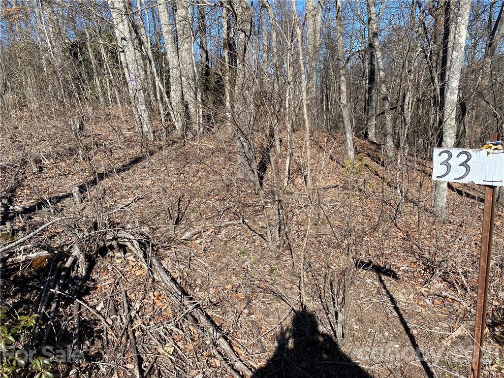 Property image 4 of 0 Long Branch Trail in Alpine Mountain, Spruce Pine, NC 28777