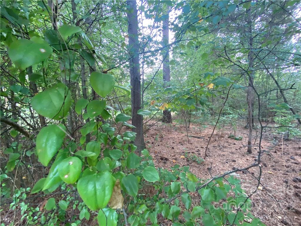 Property image 2 of 1613 Nottingham Drive in NOTTINGHAM ESTATES, Newton, NC 28658