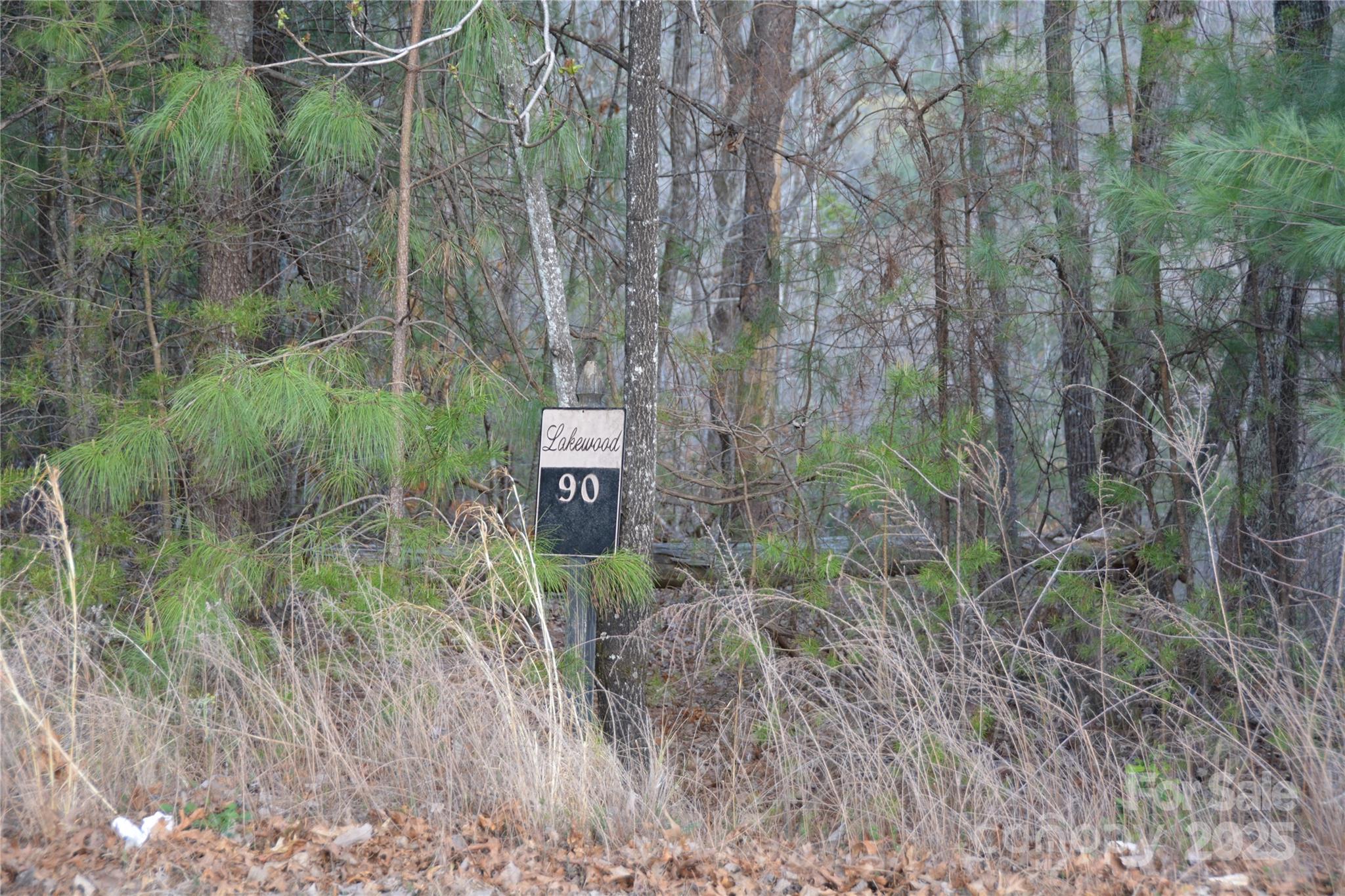 Property image 2 of 118 Crestline Drive in Lakewood, Marion, NC 28752