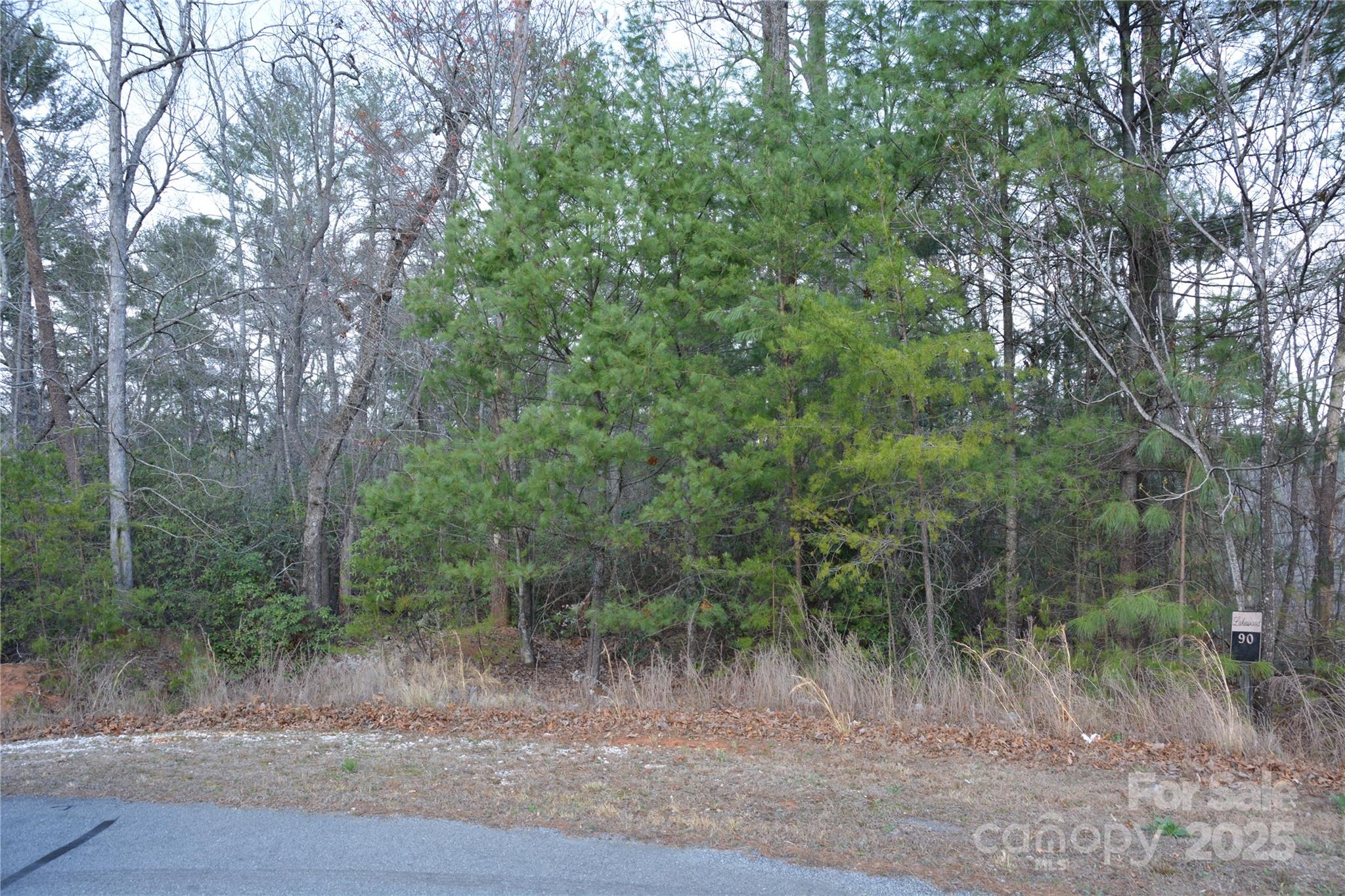 Property image 3 of 118 Crestline Drive in Lakewood, Marion, NC 28752