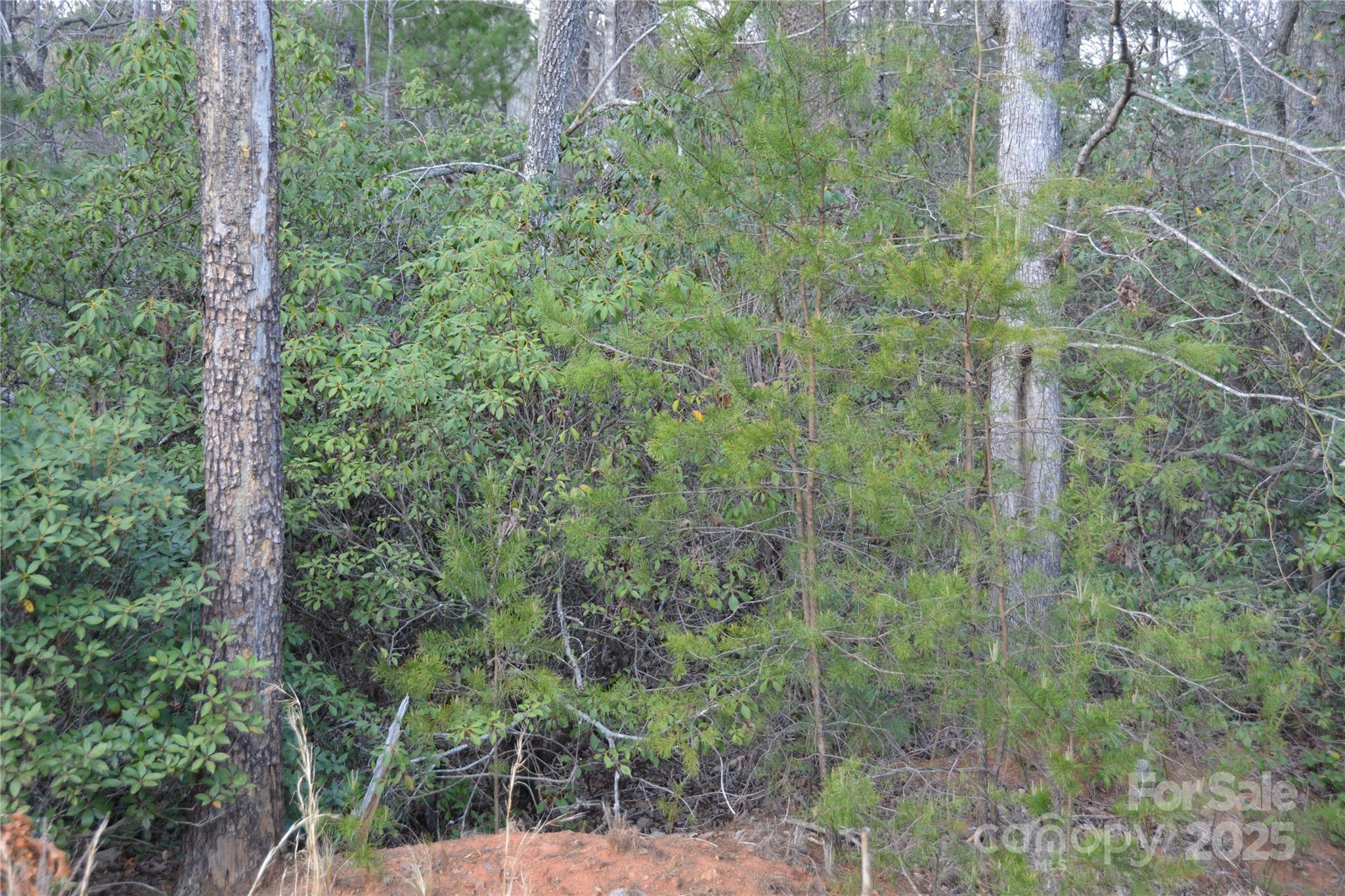 Property image 4 of 118 Crestline Drive in Lakewood, Marion, NC 28752
