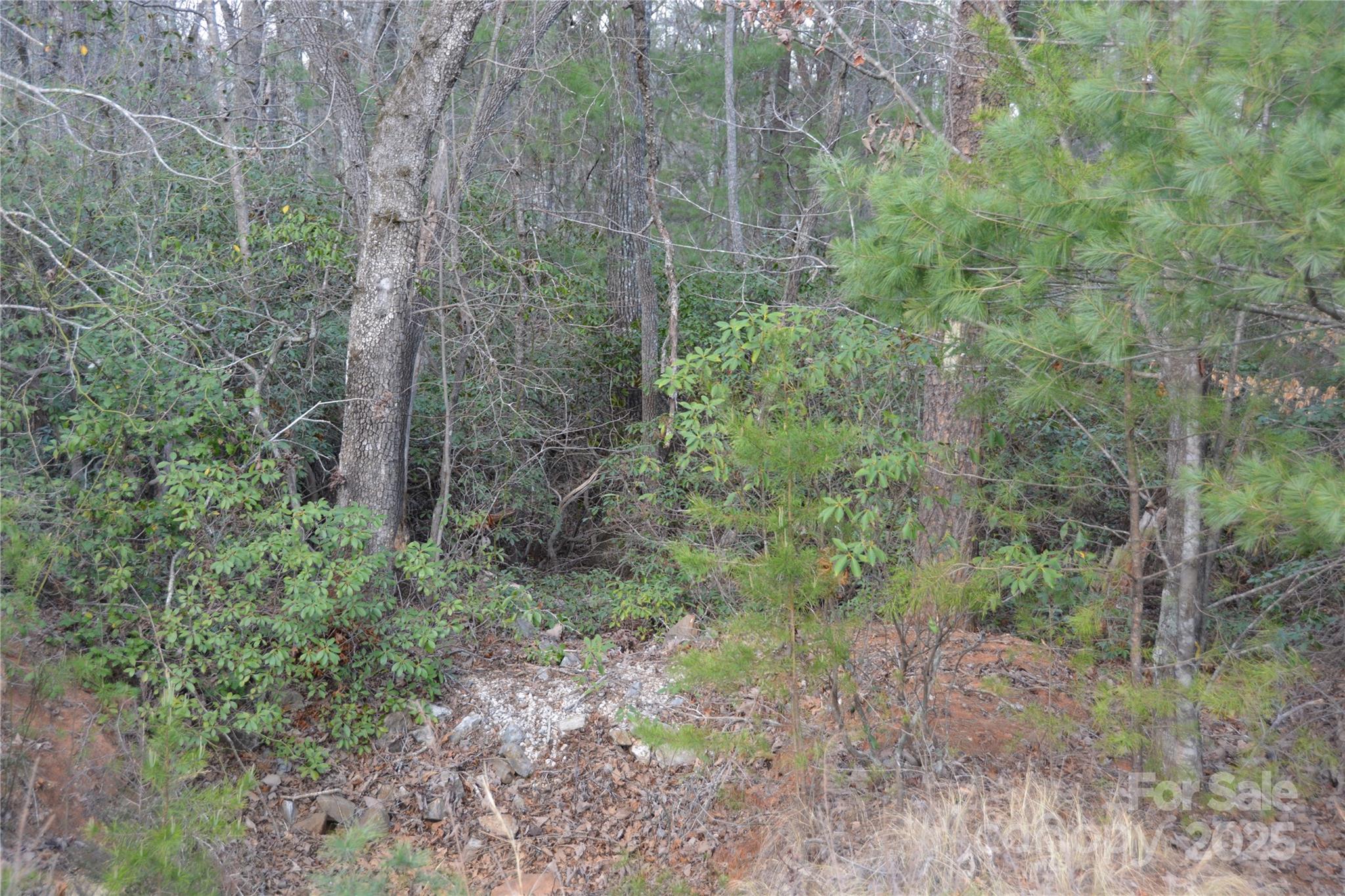 Property image 5 of 118 Crestline Drive in Lakewood, Marion, NC 28752