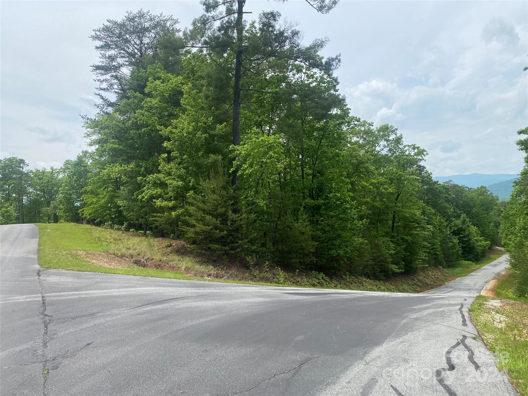 Property image 4 of Lot 49 Bald Eagle Lane in Lakewood, Marion, NC 28752