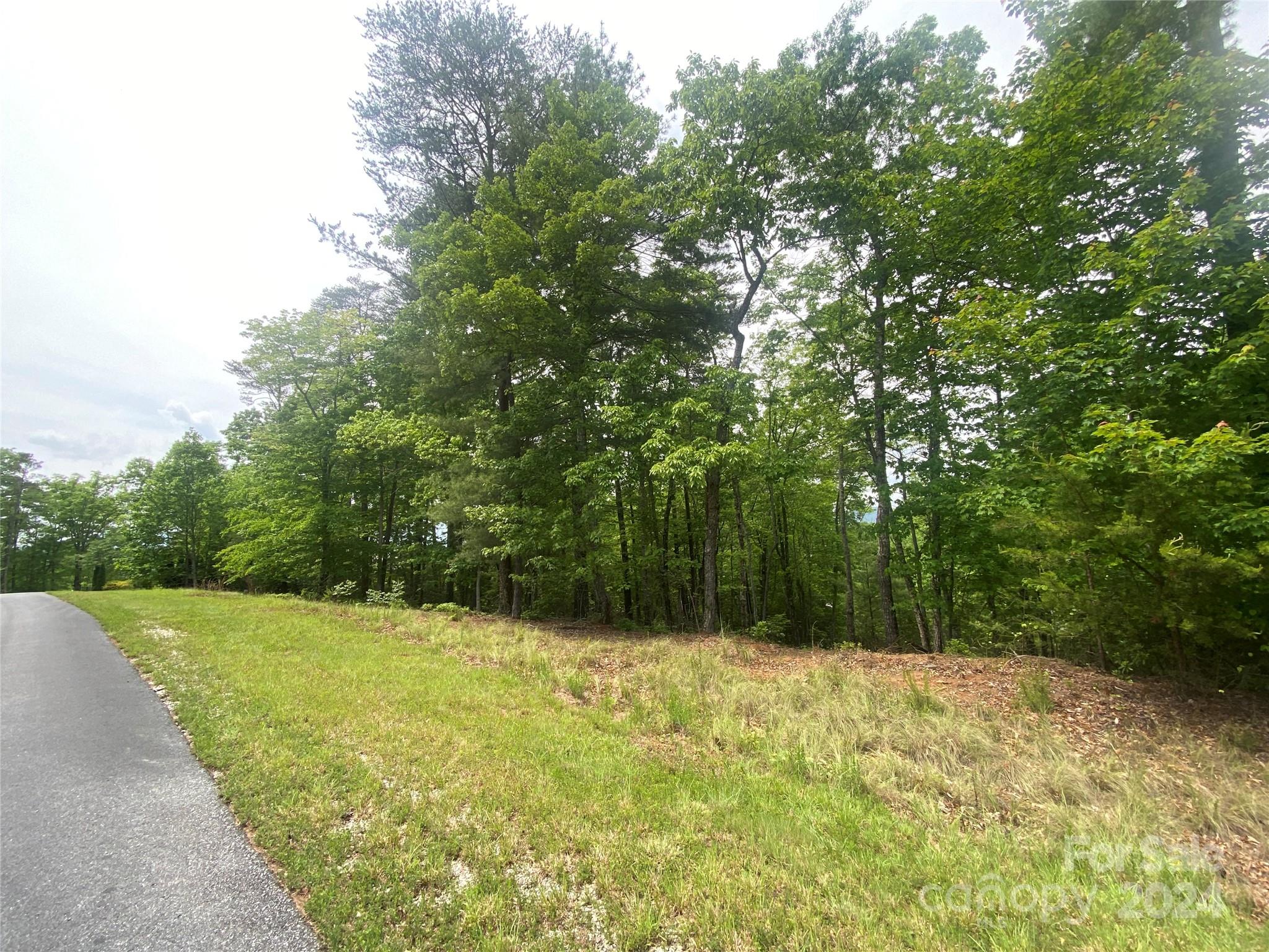 Property image 5 of Lot 49 Bald Eagle Lane in Lakewood, Marion, NC 28752
