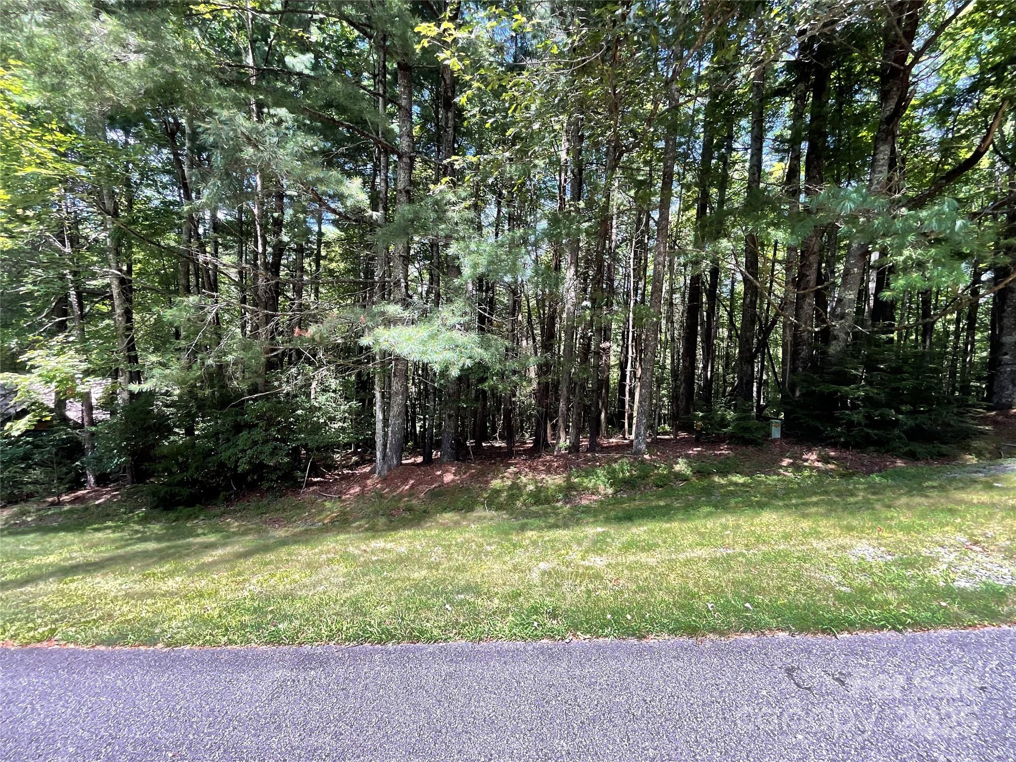 Property image 2 of 406 Tlvdatsi Drive in Connestee Falls, Brevard, NC 28712