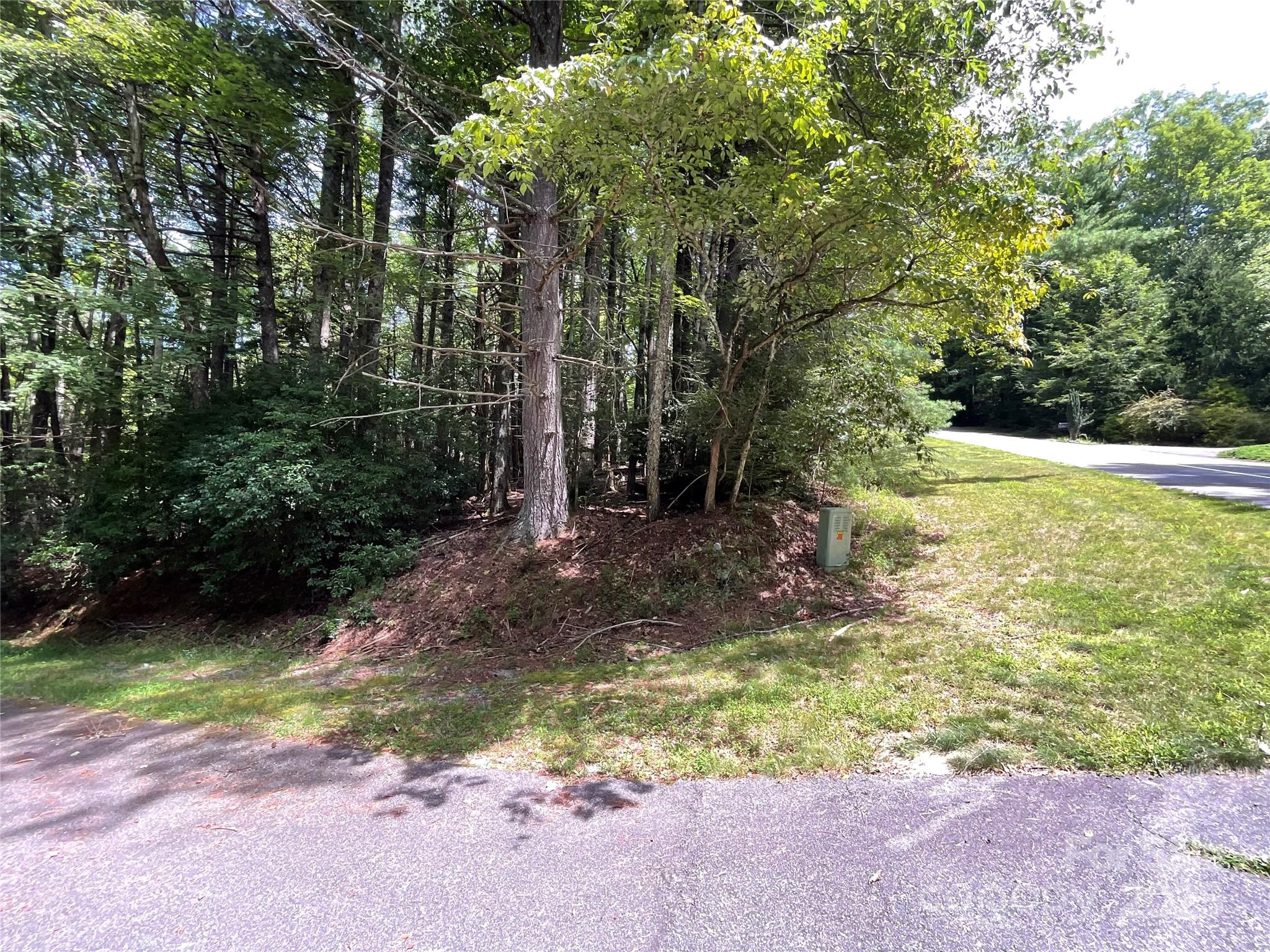 Property image 4 of 406 Tlvdatsi Drive in Connestee Falls, Brevard, NC 28712