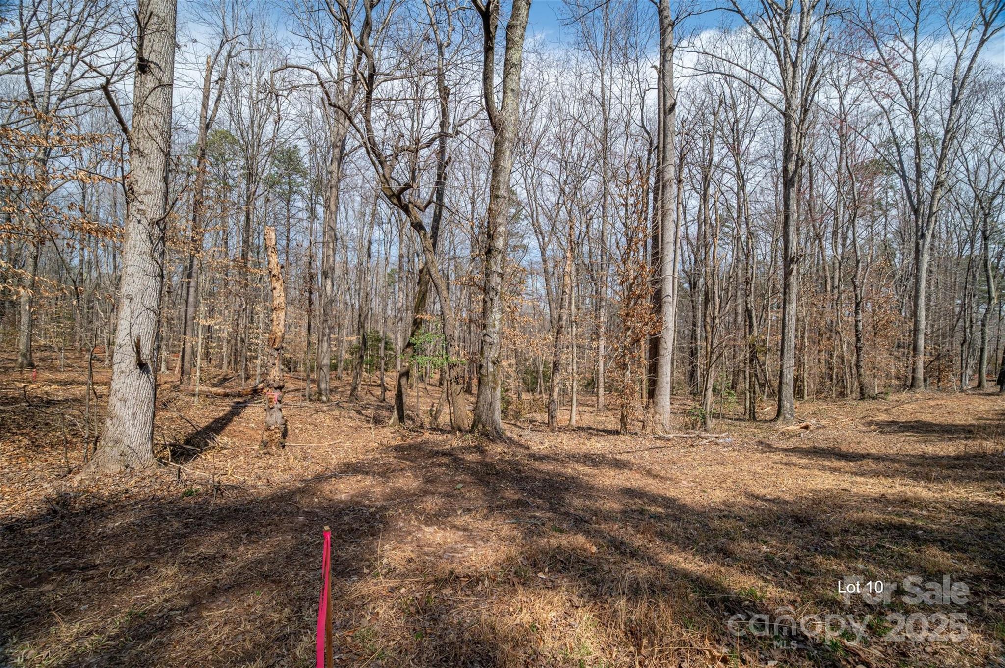 Property image 3 of 00 Forney Hill Road in The Oaks at Forney Hill, Denver, NC 28037