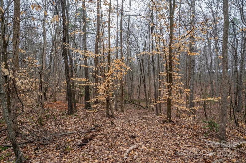 Property image 3 at 5057 Grassy Creek Road, Denver, NC 28037