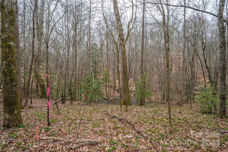 Property image 5 at 5057 Grassy Creek Road, Denver, NC 28037