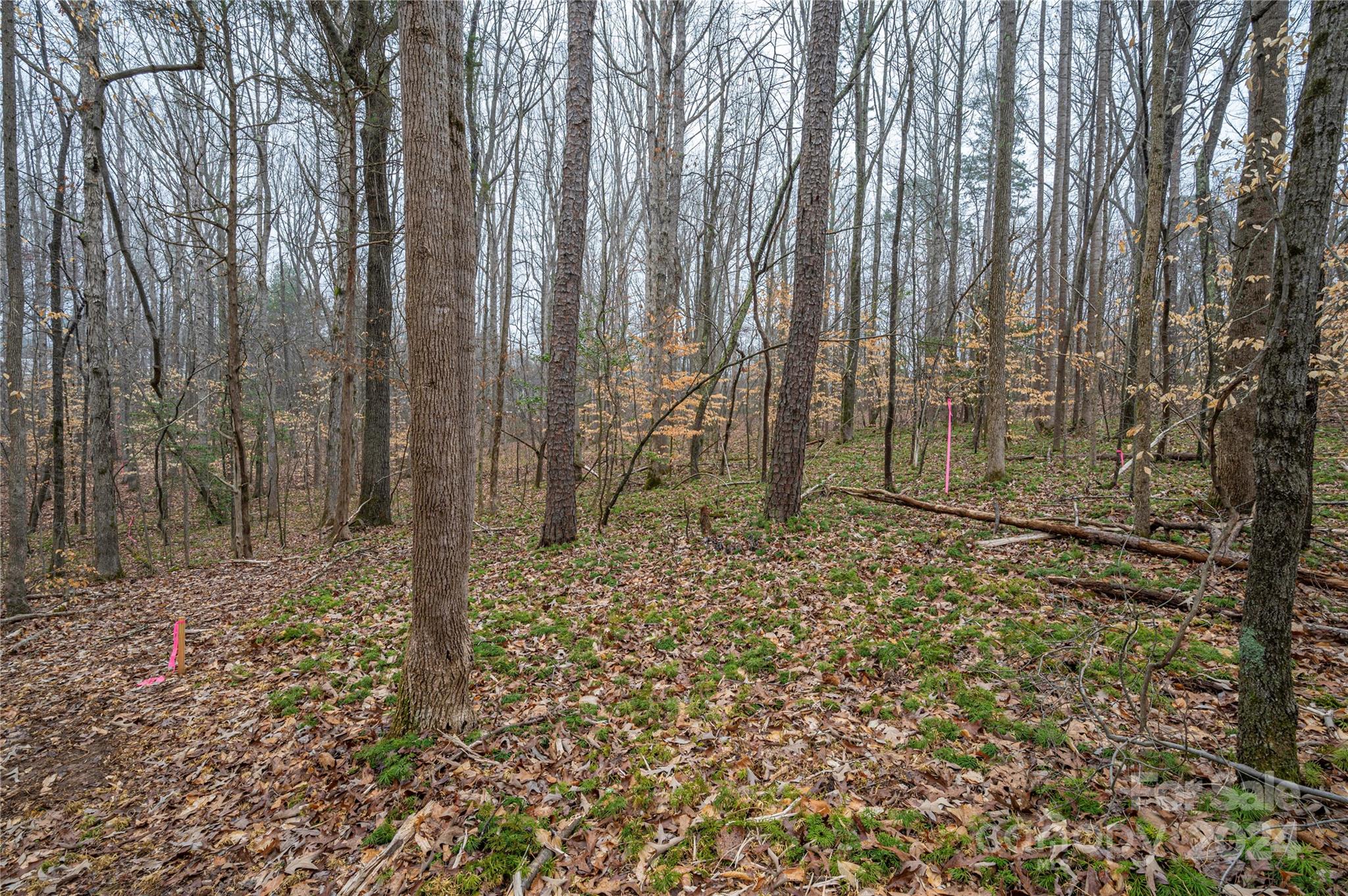 Property image 4 of 5057 Grassy Creek Road in The Preserve at Grassy Creek, Denver, NC 28037