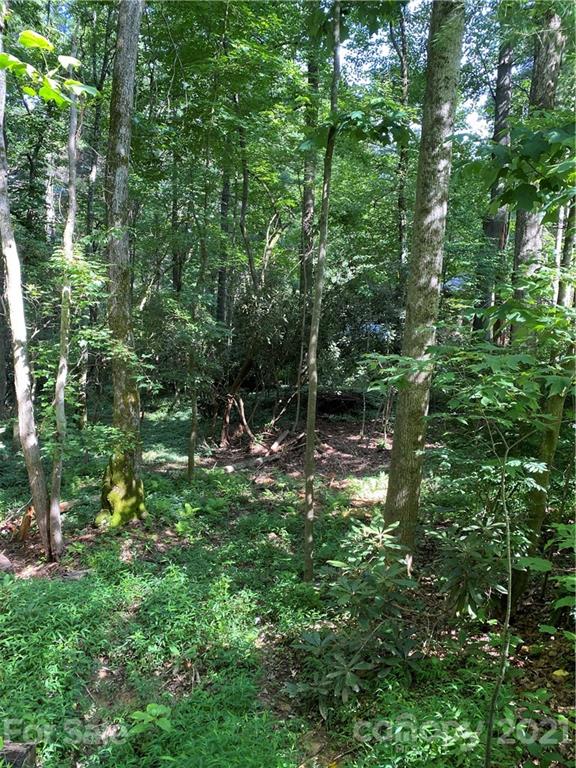 Property image 3 of 122 Timber Creek Road in Timber Creek, Hendersonville, NC 28739