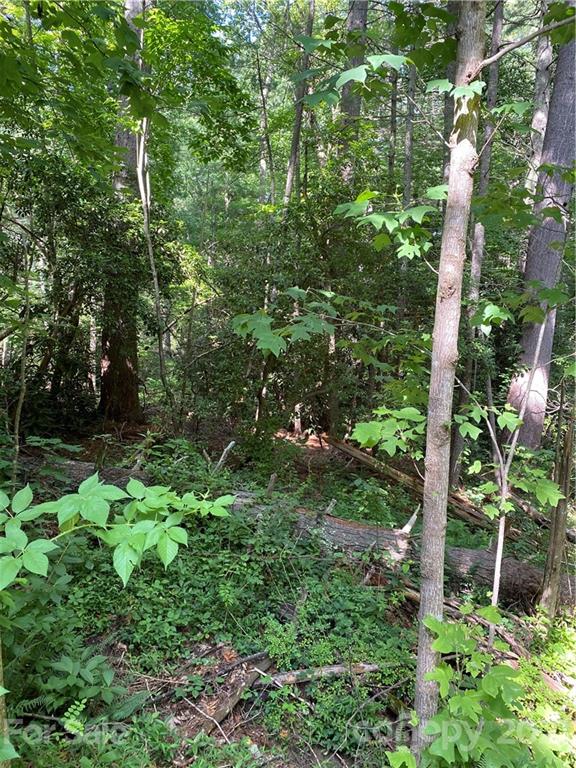 Property image 4 of 122 Timber Creek Road in Timber Creek, Hendersonville, NC 28739