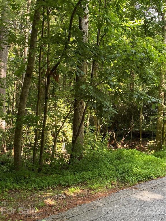Property image 5 of 122 Timber Creek Road in Timber Creek, Hendersonville, NC 28739