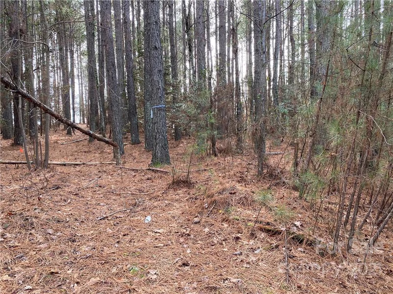 Property image 2 at 6187 Plantation Pointe Drive, Granite Falls, NC 28630