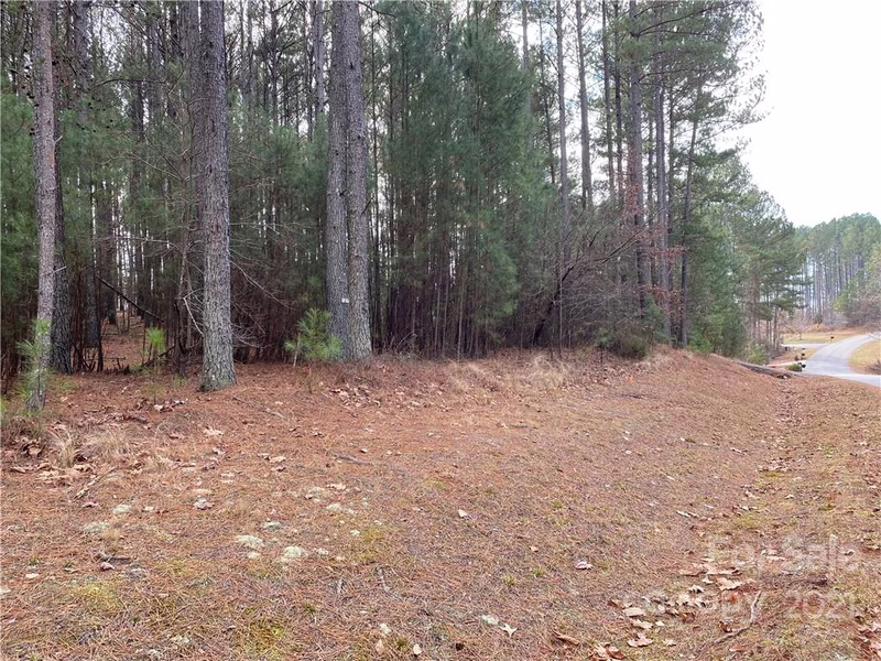 Property image 3 at 6187 Plantation Pointe Drive, Granite Falls, NC 28630