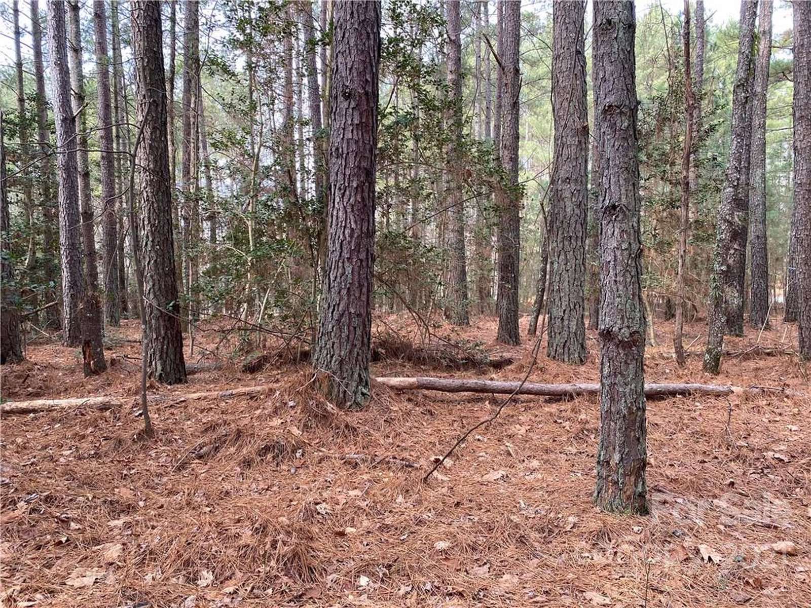 Property image 1 at 6187 Plantation Pointe Drive, Granite Falls, NC 28630