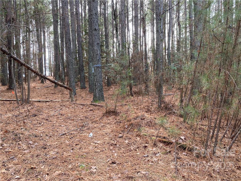 Property image 2 of 6187 Plantation Pointe Drive in Plantation Pointe, Granite Falls, NC 28630