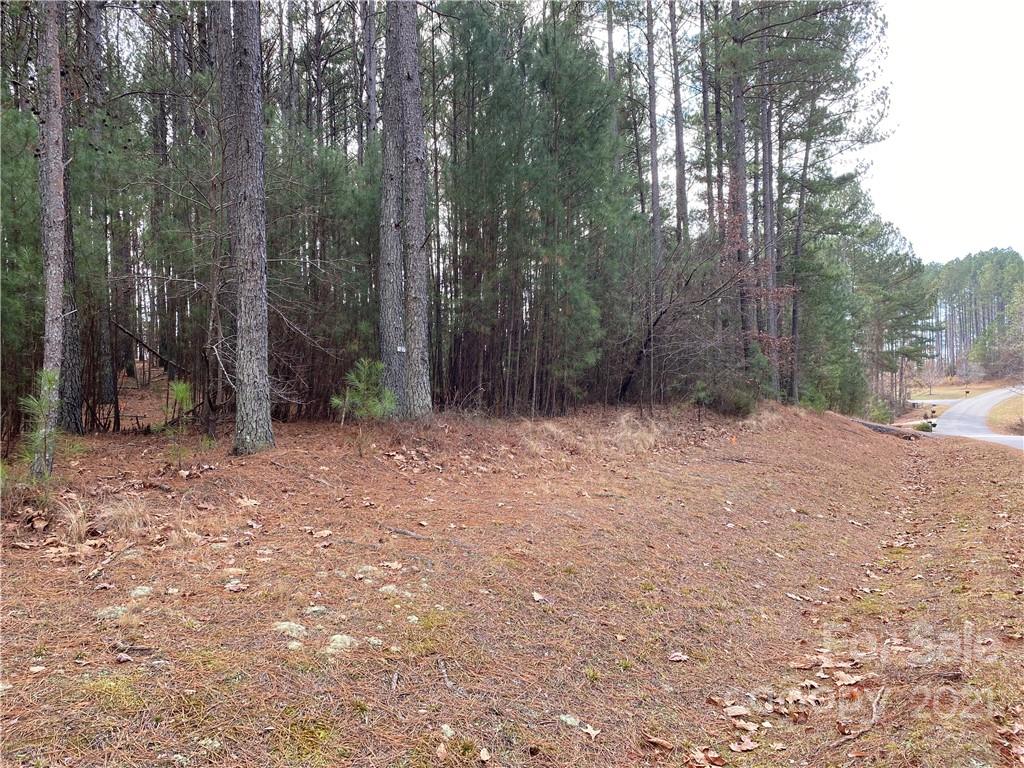 Property image 3 of 6187 Plantation Pointe Drive in Plantation Pointe, Granite Falls, NC 28630