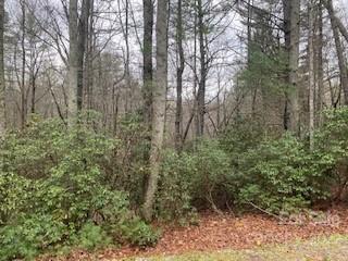 Property image 2 of Tbd Salola Lane in Connestee Falls, Brevard, NC 28712