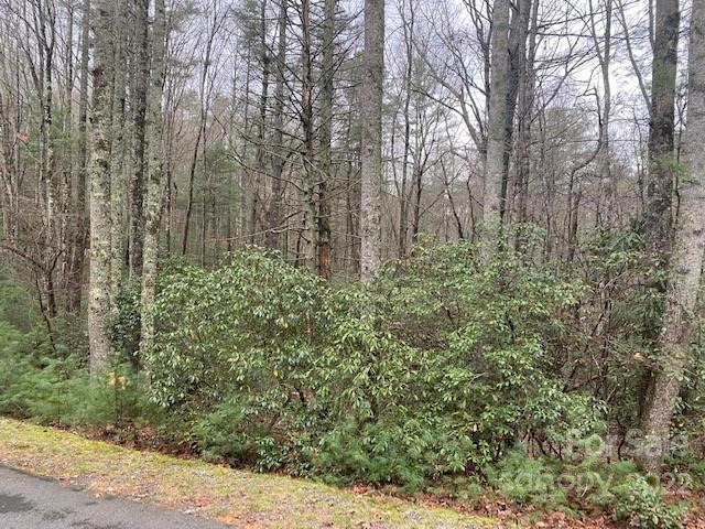 Property image 3 of Tbd Salola Lane in Connestee Falls, Brevard, NC 28712