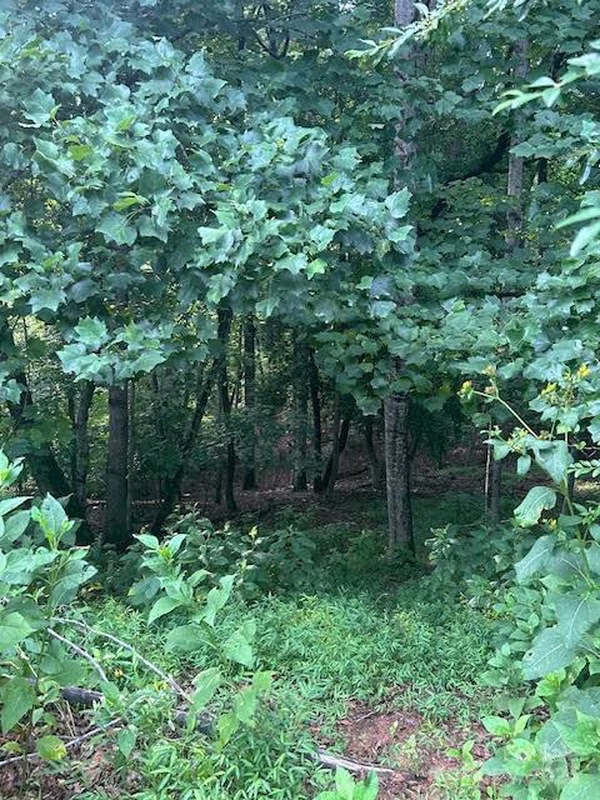 Property image 3 at 216 S Harbor Watch Drive, Statesville, NC 28677