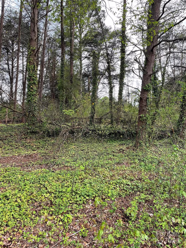 Property image 4 at 7741 Marlette Lane, Sherrills Ford, NC 28673