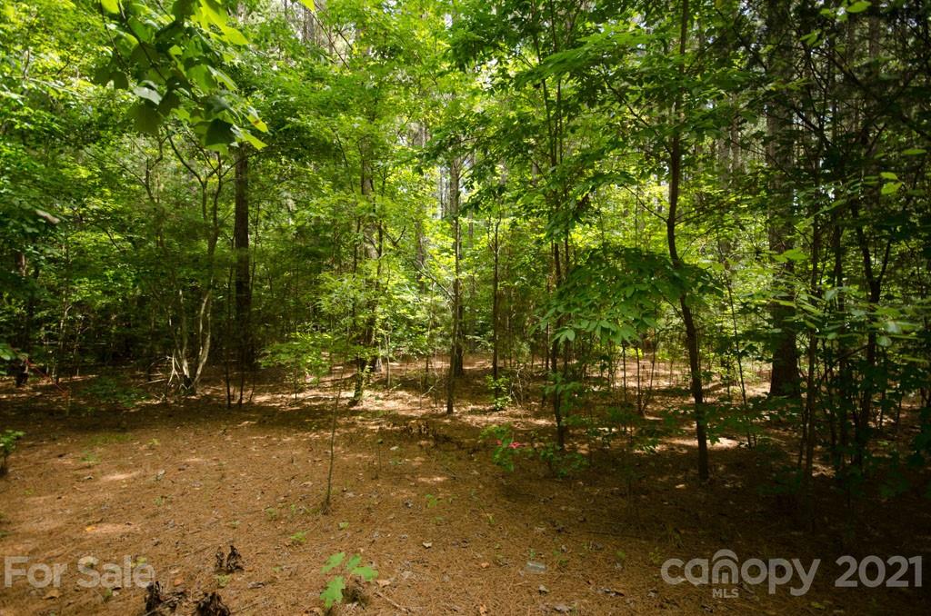 Property image 2 of Lot 1 Lee Lawing Road in Lincoln Estates, Lincolnton, NC 28092