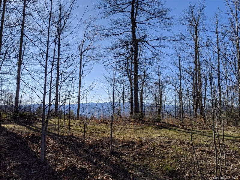 Property image 5 at 8 Mcdonald Court, Pisgah Forest, NC 28768