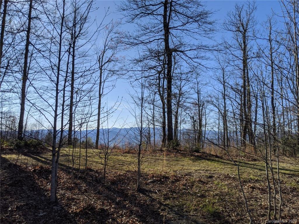 Property image 5 of 8 Mcdonald Court in Pisgah Forest Farms, Pisgah Forest, NC 28768