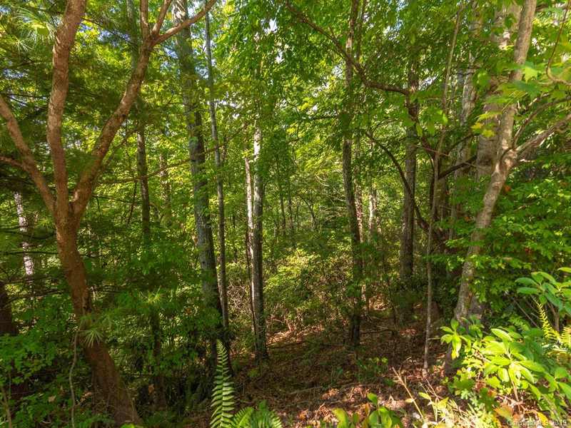 Property image 3 at 67 Mimosa Way, Hendersonville, NC 28739