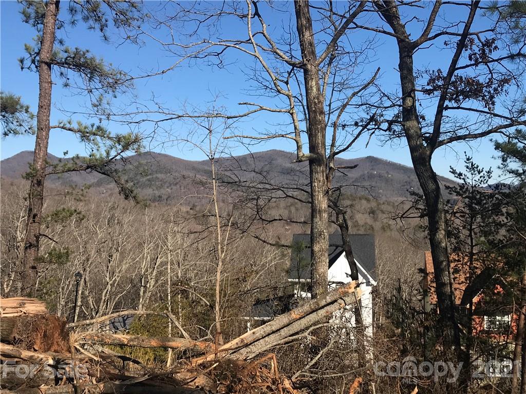 Property image 3 of 69 Sussex Court in Tudor Croft, Black Mountain, NC 28711