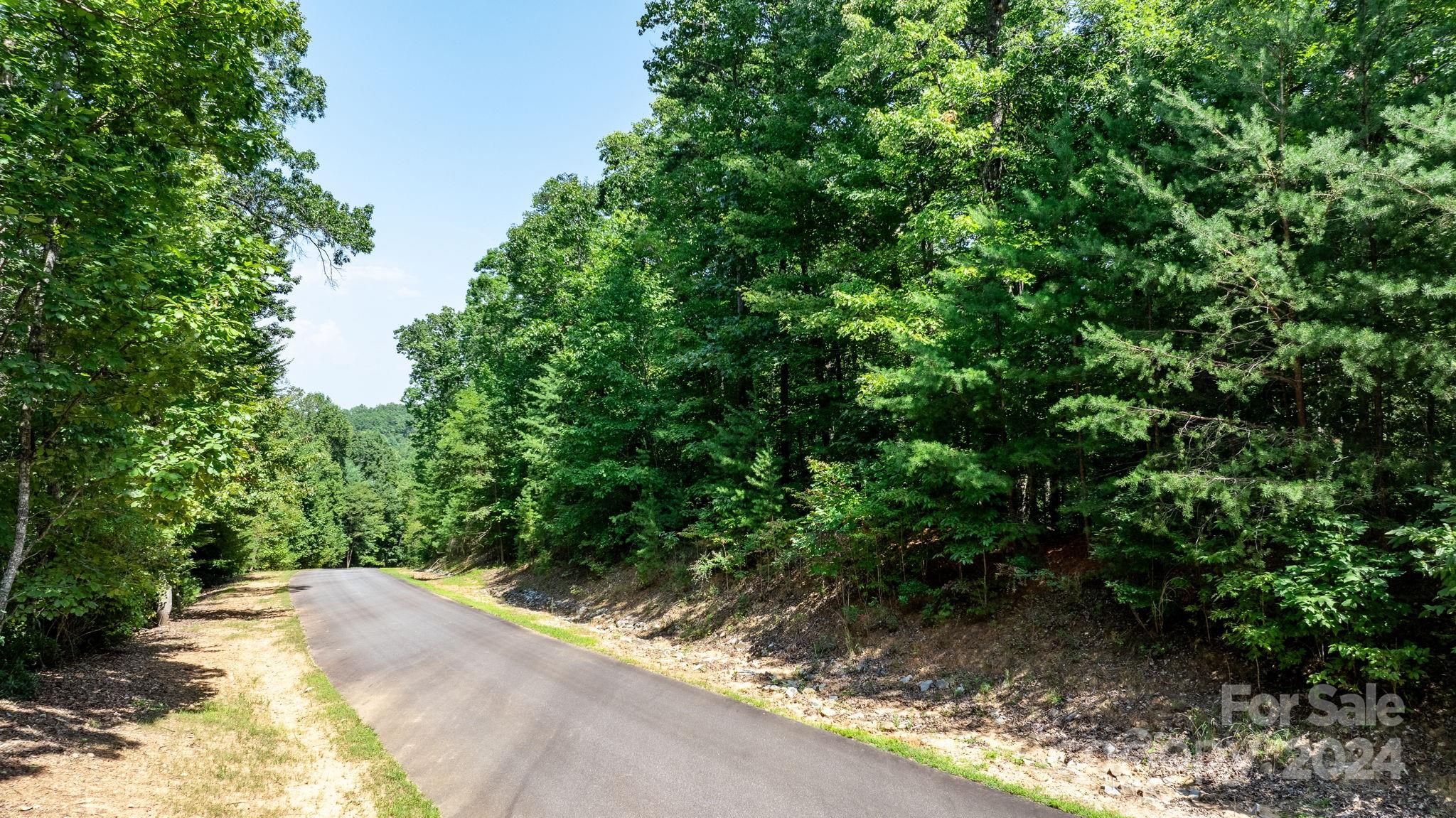 Property image 2 of 0 Heartwood Drive in Forest Heights, Marion, NC 28752
