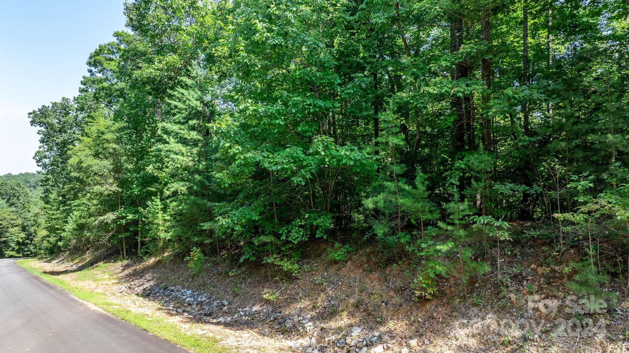 Property image 3 of 0 Heartwood Drive in Forest Heights, Marion, NC 28752