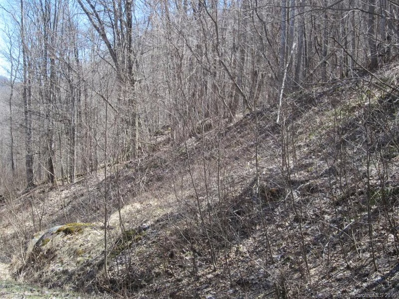 Property image 5 at 00 Bear Ridge Road, Bakersville, NC 28705
