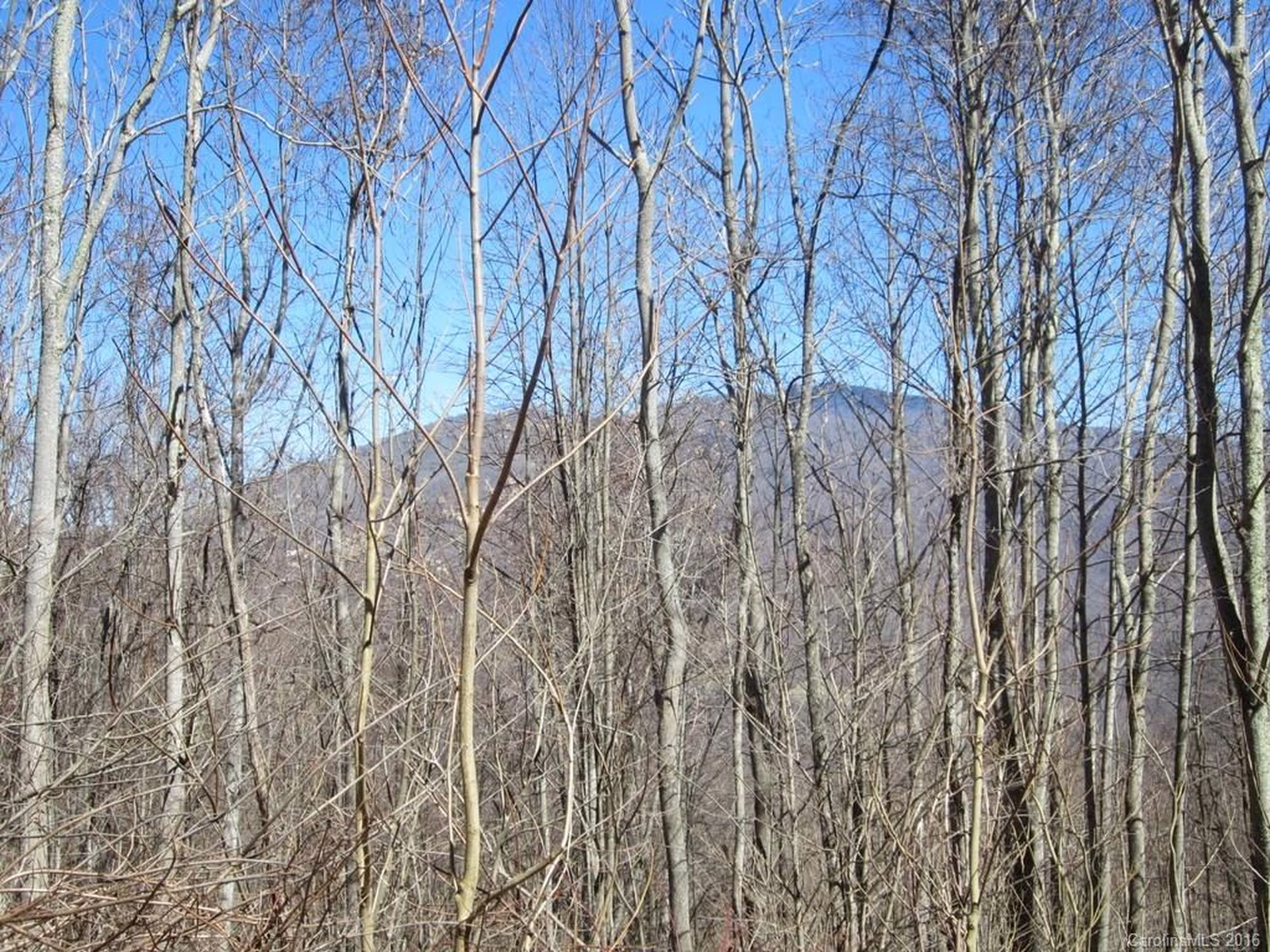 Property image 1 at 00 Bear Ridge Road, Bakersville, NC 28705