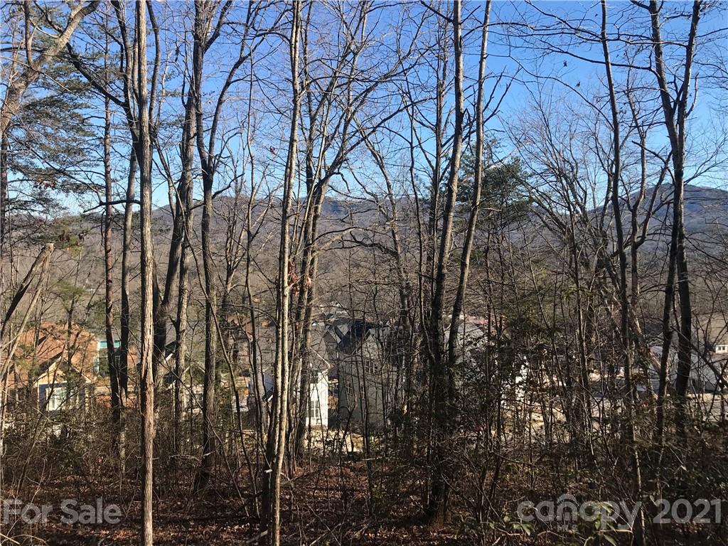 Property image 3 of Tbd Sussex Court in Tudor Croft, Black Mountain, NC 28711