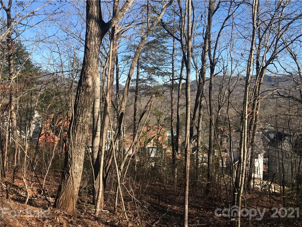 Property image 5 of Tbd Sussex Court in Tudor Croft, Black Mountain, NC 28711