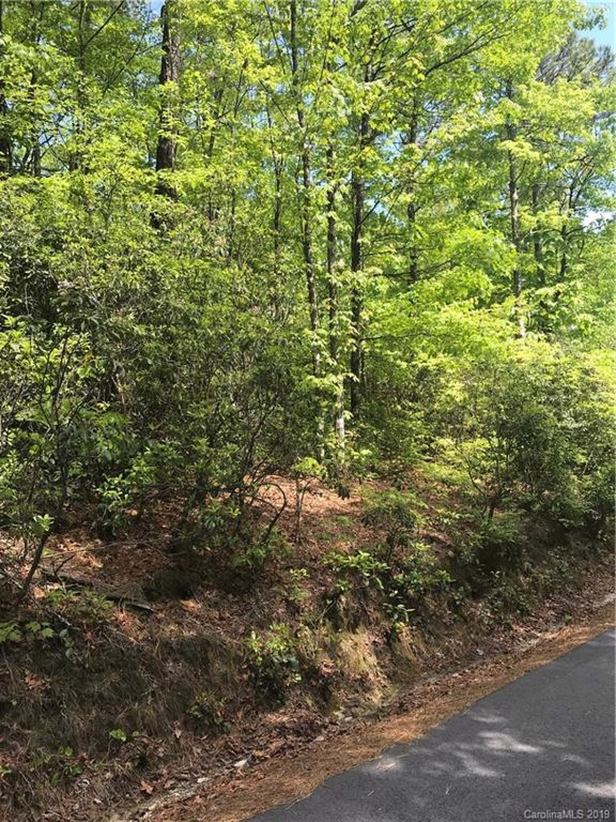 Property image 1 at 20 Oak Brook West Lane, Brevard, NC 28712