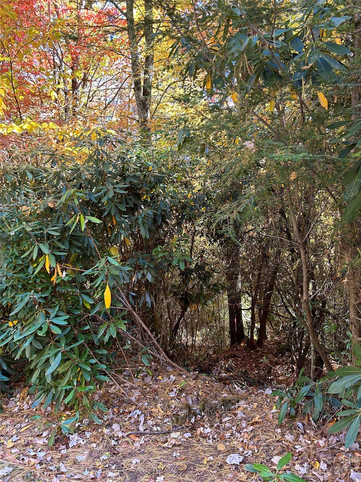 Property image 4 of Lot 269 Beaver Court in Whisper Lake, Sapphire, NC 28774