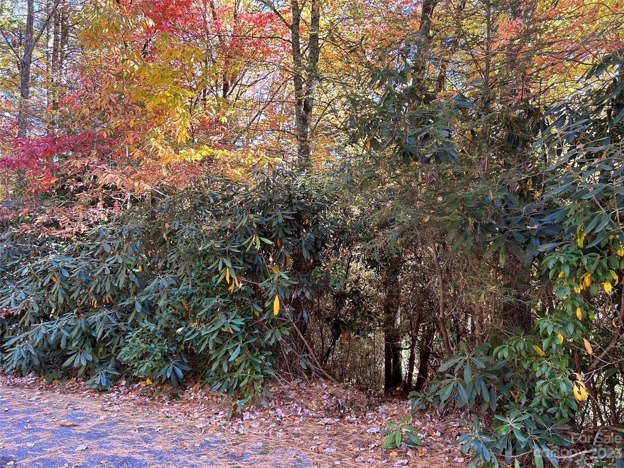 Property image 5 of Lot 269 Beaver Court in Whisper Lake, Sapphire, NC 28774