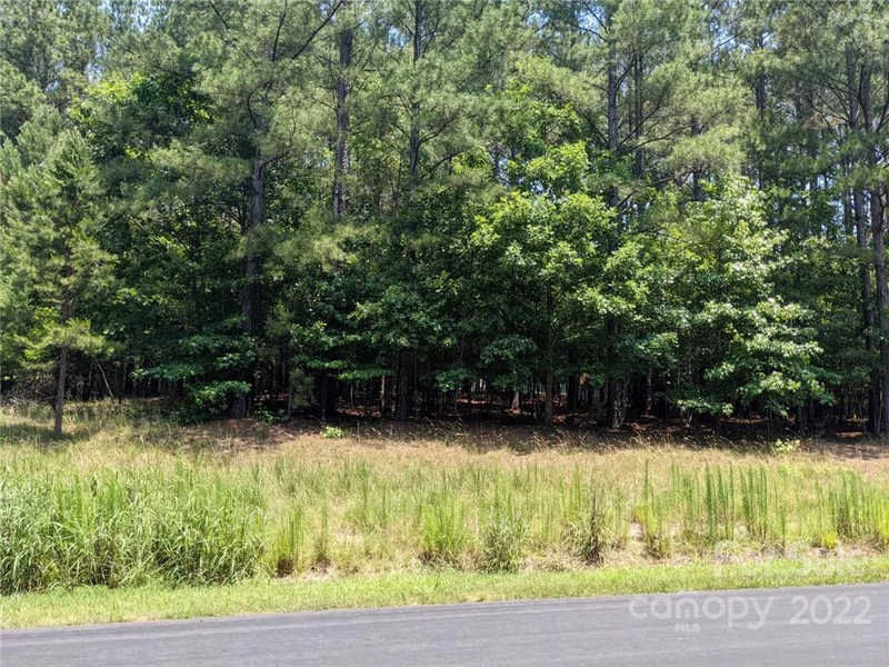 Property image 2 at 262 Plantation Way, Mount Gilead, NC 27306