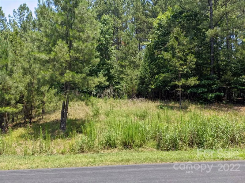 Property image 3 at 262 Plantation Way, Mount Gilead, NC 27306