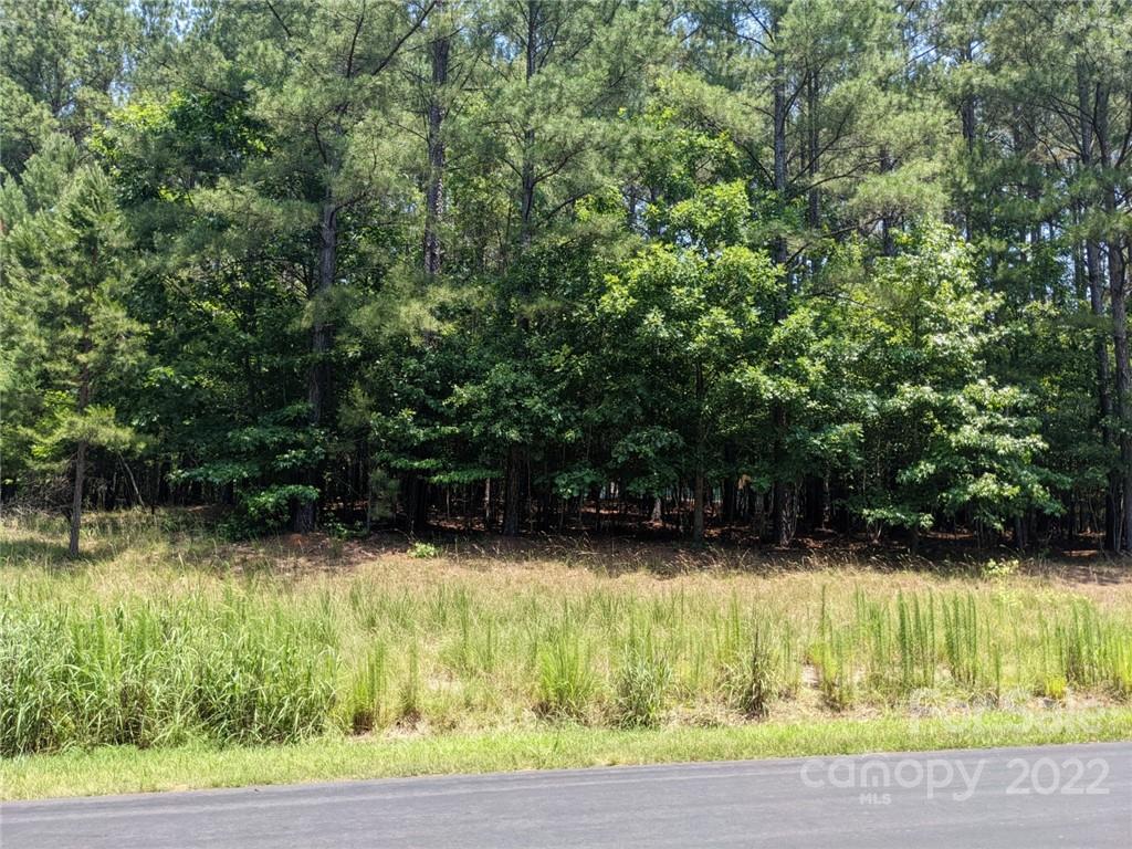 Property image 2 of 262 Plantation Way in Swift Island Plantation, Mount Gilead, NC 27306