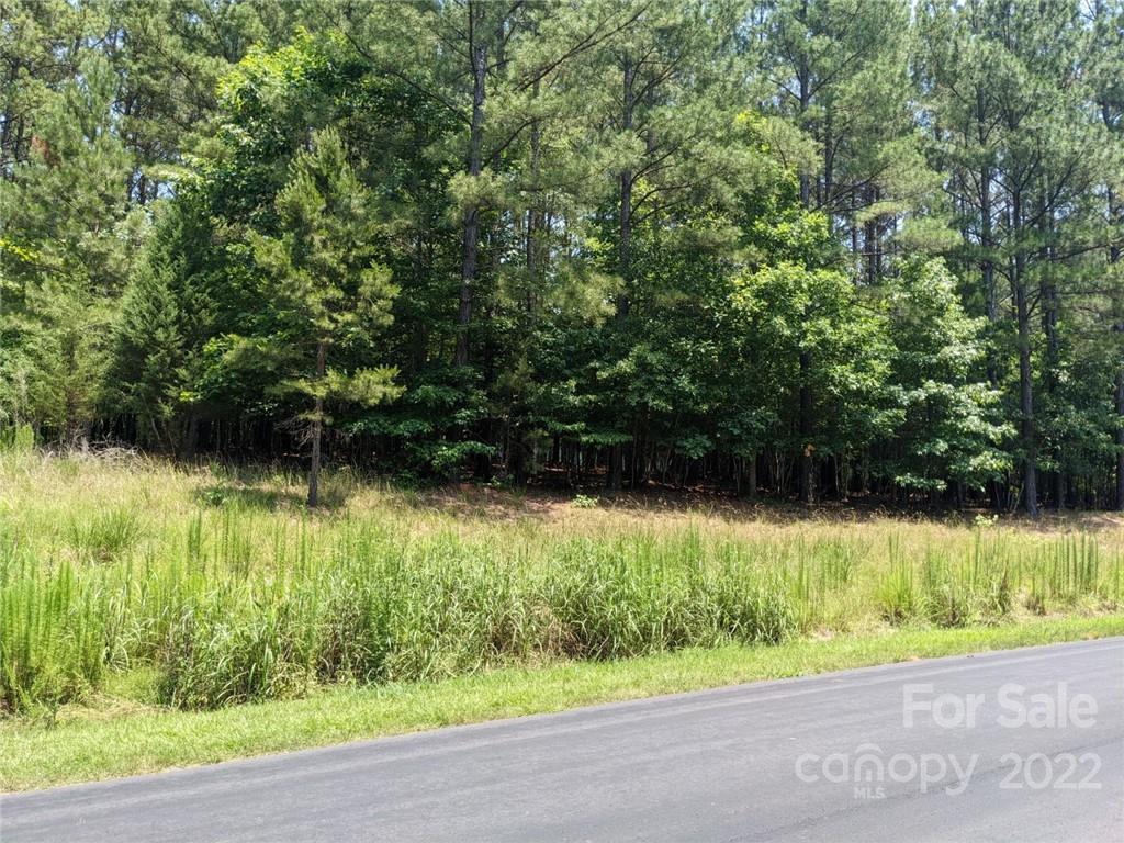 Property image 4 of 262 Plantation Way in Swift Island Plantation, Mount Gilead, NC 27306