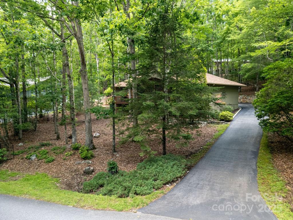 Property image 3 of 1005 Middle Connestee Trail in Connestee Falls, Brevard, NC 28712