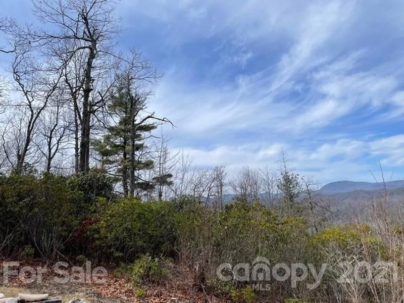 Property image 3 at Tbd Panther Run Road, Brevard, NC 28712